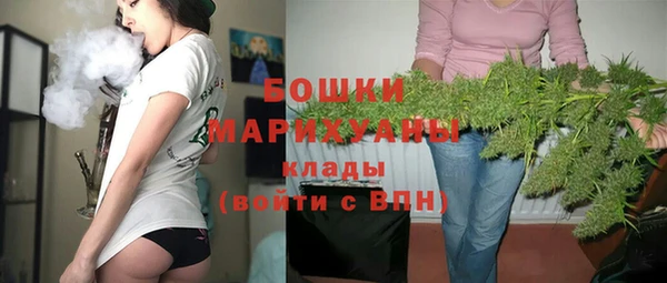 дживик Белокуриха