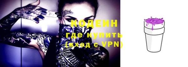 дживик Белокуриха