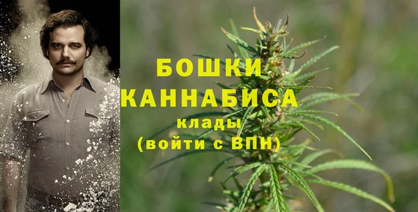 дживик Белокуриха
