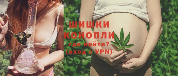 дживик Белокуриха