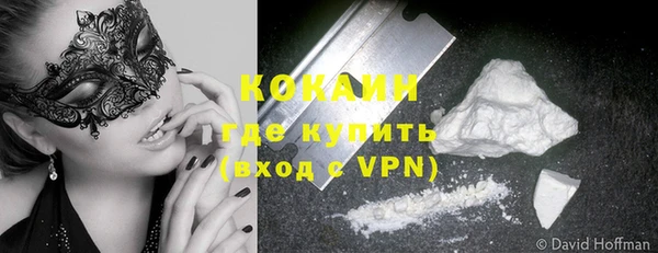 дживик Белокуриха