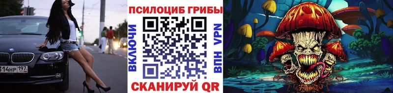 купить   Бугульма  Галлюциногенные грибы Magic Shrooms 