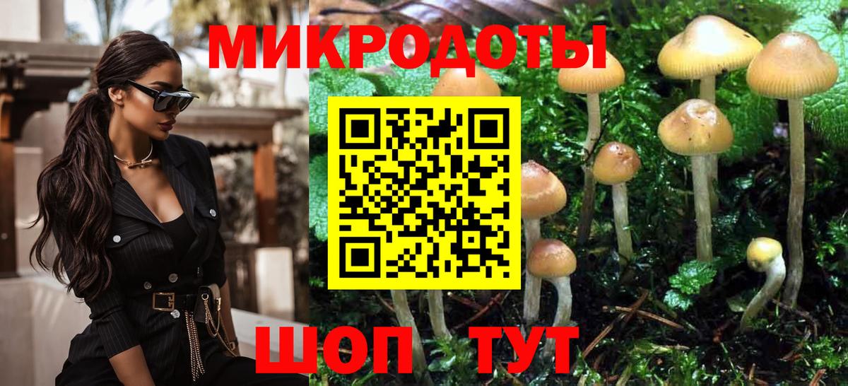 Псилоцибиновые грибы Cubensis Бугульма