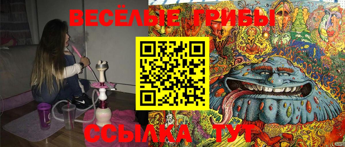 Бугульма  Псилоцибиновые грибы Psilocybe  Вход с VPN  Псилоцибиновые грибы Magic Shrooms 